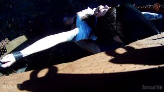 Rubescent Flagerella