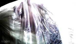 Morphic Resonance Under Plastic Erofm007