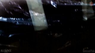 Morphic Resonance Under Plastic Erofm007