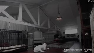 BondageLife Rachel Greyhound - Upstairs Floor Sweep