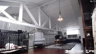 BondageLife Rachel Greyhound - Upstairs Floor Sweep