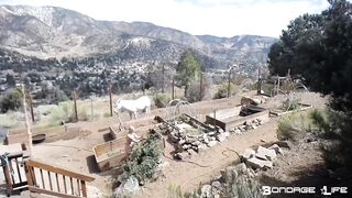 BondageLife Rachel Greyhound - Yardwork With Greyhound