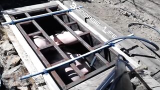 BondageLife Rachel Greyhound - Greyhound Gets The Box