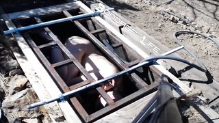 BondageLife Rachel Greyhound - Greyhound Gets The Box