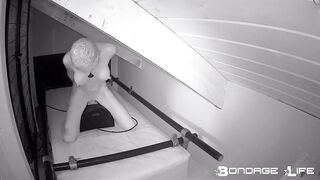 BondageLife Rachel Greyhound - Sybian In The Dark