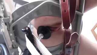 BondageLife Rachel Greyhound - Greyhound Gets The Fucking Machine