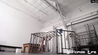 BondageLife Rachel Greyhound - Greyhound The Builder