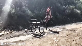 BondageLife Rachel Greyhound - Pony Cart Walk