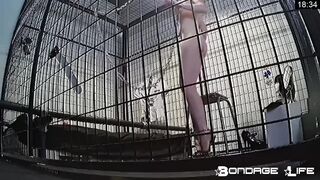 BondageLife Rachel Greyhound - Schoolgirl Dress Up