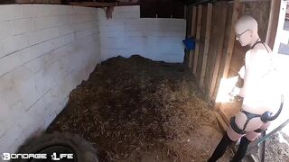 BondageLife Rachel Greyhound - On The Farm (1.13.2020)