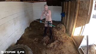BondageLife Rachel Greyhound - On The Farm (1.13.2020)