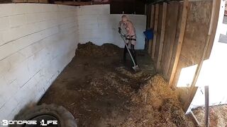 BondageLife Rachel Greyhound - On The Farm (1.13.2020)