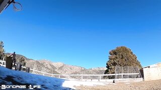 BondageLife Rachel Greyhound - On The Farm (1.13.2020)