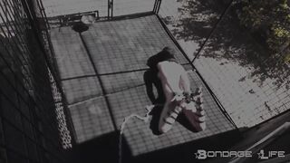 BondageLife Rachel Greyhound - Outside HogTie