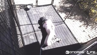 BondageLife Rachel Greyhound - Outside HogTie