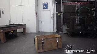 BondageLife Rachel Greyhound - Paint Box