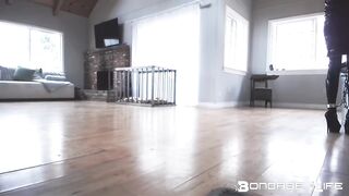 BondageLife Rachel Greyhound - Latex Floor Wash