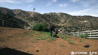 BondageLife BrutalMaster, Rachel Greyhound - You're The Fucking Pony