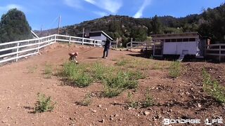 BondageLife BrutalMaster, Rachel Greyhound - You're The Fucking Pony