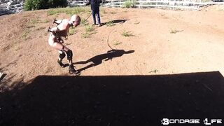 BondageLife BrutalMaster, Rachel Greyhound - You're The Fucking Pony