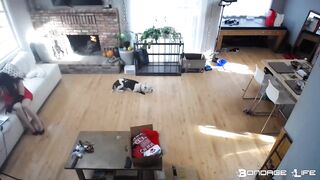 BondageLife Lita Lecherous, Rachel Greyhound - Naughty List