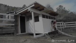 BondageLife Rachel Greyhound - Chicken Coop Painting Part 2