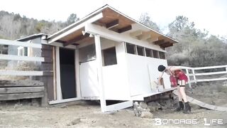 BondageLife Rachel Greyhound - Chicken Coop Painting Part 2