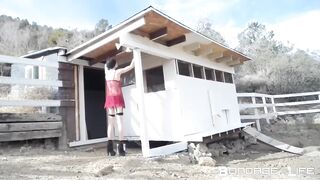 BondageLife Rachel Greyhound - Chicken Coop Painting Part 2