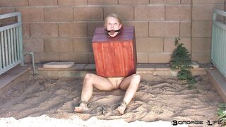 BondageLife Rachel Greyhound - Boxed In Mud