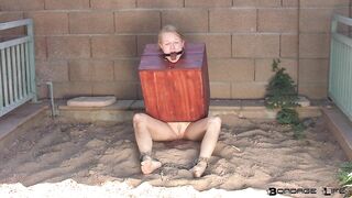 BondageLife Rachel Greyhound - Boxed In Mud