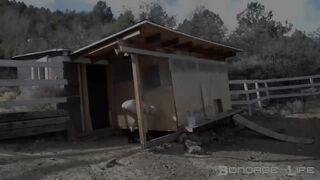 BondageLife Rachel Greyhound - Chicken Coop Painting Part 1