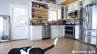 BondageLife Rachel Greyhound - Domestic Service