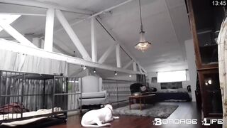 Bondage Life up stairs floor sweep