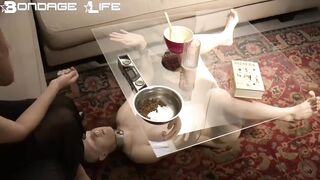 Bondage Life kitty grayhound coffee table