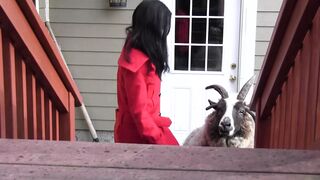 Evil lesbian mistress torments her massage maid