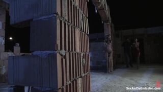 SEX AND SUBMISSION - The Dark Crevice