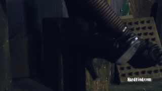 HARDTIED - ﻿Elise Graves Perched