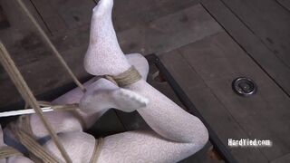 HARDTIED - ﻿﻿Star Caught in the Web Part One