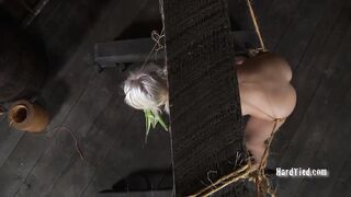 HARDTIED - ﻿Sophie Ryan Corn Cob Cunt