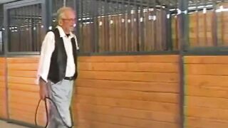 NuWest - Fcv-105 - Barn Whippings