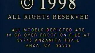 NuWest - Fcv-041 Vannas Whipping Horse