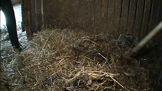 Der Sadisten-Zirkel 10 (Full Movie)