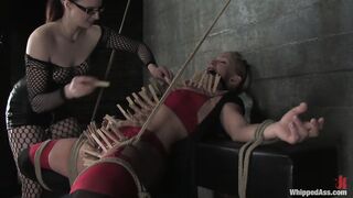 08.10.03 5499 Claire Adams, Dia Zerva (Dia Zerva)