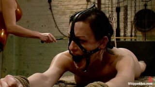 11.01.28 11680 Elise Graves, Felony (Break The Unbreakable)