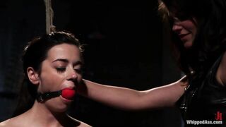 12.04.20 19545 Taylor Vixen, Bobbi Starr (WHIPPED ASS GIRL OF THE MONTH APRIL 2012 The Dark Side Of Taylor Vixen)