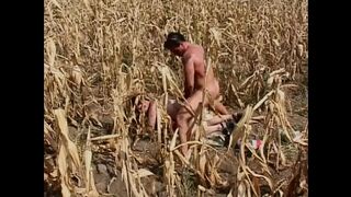 Wild vintage pussies (Full Movie)