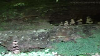 PREVIEW: CRUEL REELL - SIGHTSEEING AA LA REELL - THE MULLERTHAL TRAIL COMPILATION