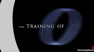 The Training of Princess Donna, Day Four