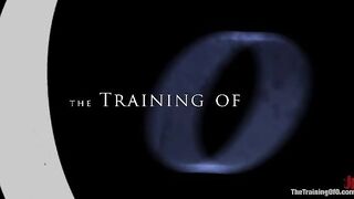 The Training of Princess Donna, Day Three 
