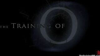 The Training of Dia Zerva, Day Four